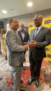 A Truly Pan-African Business, Diaspora Insurance: A Truly Pan-African Business, Says Founder and CEO