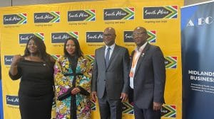 A Truly Pan-African Business, Diaspora Insurance: A Truly Pan-African Business, Says Founder and CEO