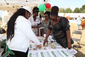 ZimFest 2022, Highlights: Diaspora Insurance at ZimFest 2022
