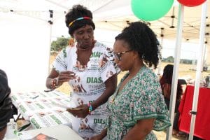 ZimFest 2022, Highlights: Diaspora Insurance at ZimFest 2022