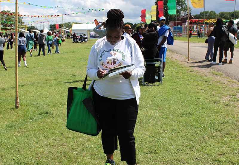 Snapshot of Zimfest 2023, Snapshot of Zimfest 2023: Diaspora Insurance Captures Vibrant Scenes