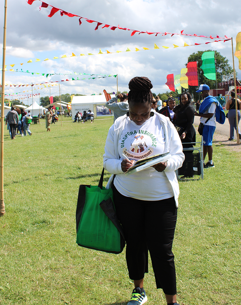 Snapshot of Zimfest 2023, Snapshot of Zimfest 2023: Diaspora Insurance Captures Vibrant Scenes