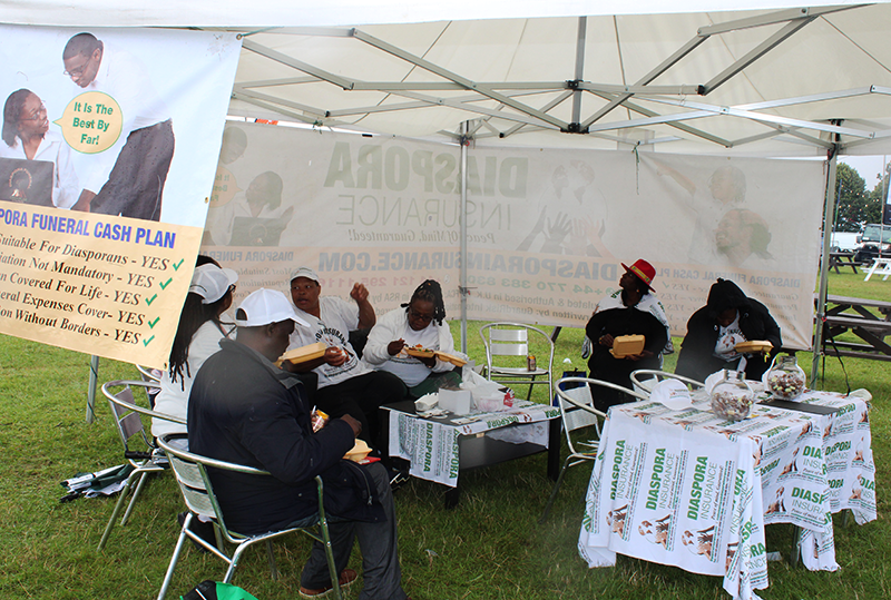 Snapshot of Zimfest 2023, Snapshot of Zimfest 2023: Diaspora Insurance Captures Vibrant Scenes