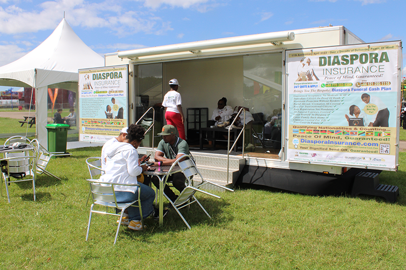 Snapshot of Zimfest 2023, Snapshot of Zimfest 2023: Diaspora Insurance Captures Vibrant Scenes