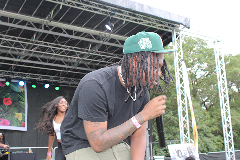 rescheduled Ghana Party in the Park, IN PICTURES: Thousands attend rescheduled Ghana Party in the Park