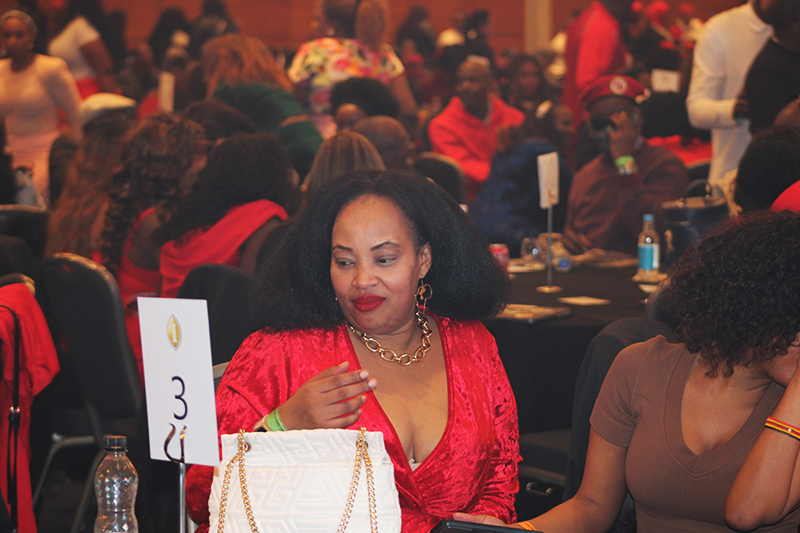 Bobi Wine London Show, Vibrant Scenes at Diaspora Insurance Stand during Bobi Wine London Show