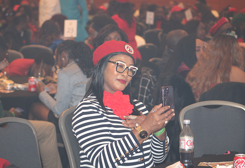 Bobi Wine London Show, Vibrant Scenes at Diaspora Insurance Stand during Bobi Wine London Show