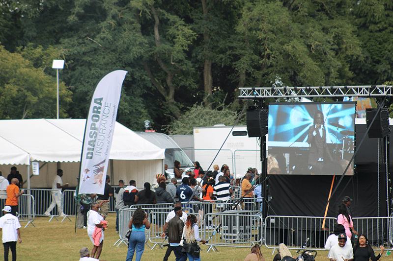 , IN PICTURES: Diaspora Insurance at the Africa Music Festival in Leicester