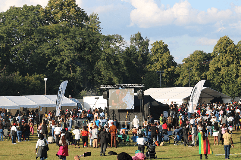 , IN PICTURES: Diaspora Insurance at the Africa Music Festival in Leicester
