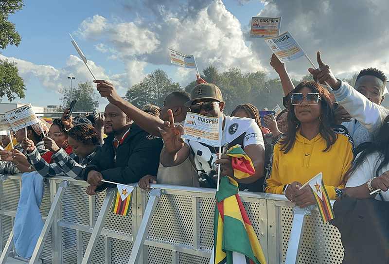 , IN PICTURES: Diaspora Insurance at the Africa Music Festival in Leicester
