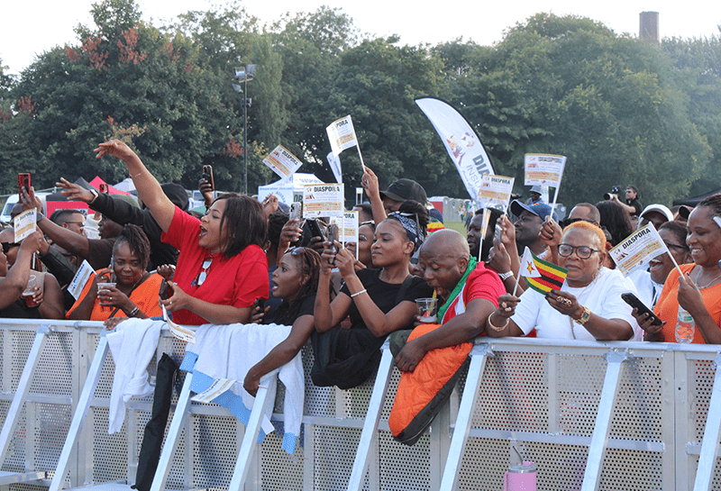 , IN PICTURES: Diaspora Insurance at the Africa Music Festival in Leicester