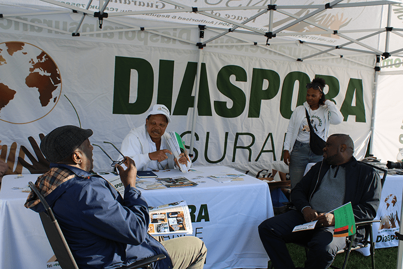 , IN PICTURES: Diaspora Insurance at the Africa Music Festival in Leicester