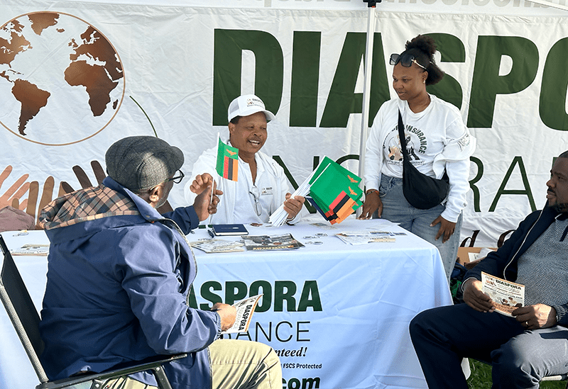 , IN PICTURES: Diaspora Insurance at the Africa Music Festival in Leicester