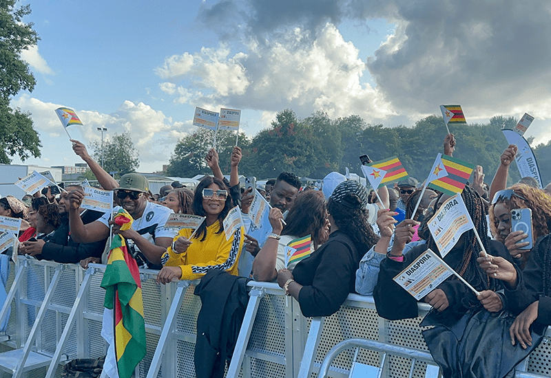 , IN PICTURES: Diaspora Insurance at the Africa Music Festival in Leicester