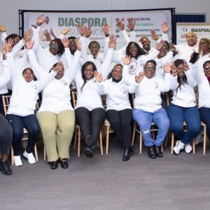 , Diaspora Insurance Team