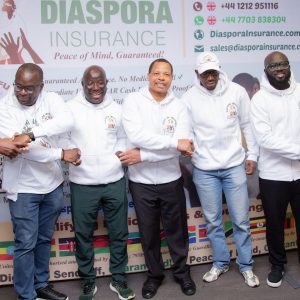 , Diaspora Insurance Team