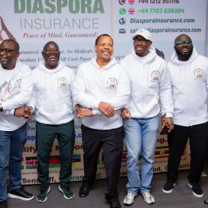 , Diaspora Insurance Team