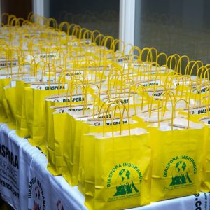 , Diaspora Insurance Team