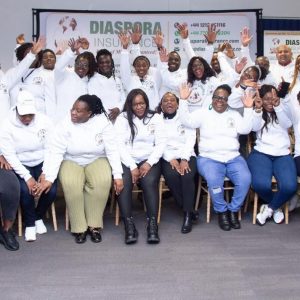 , Diaspora Insurance Team