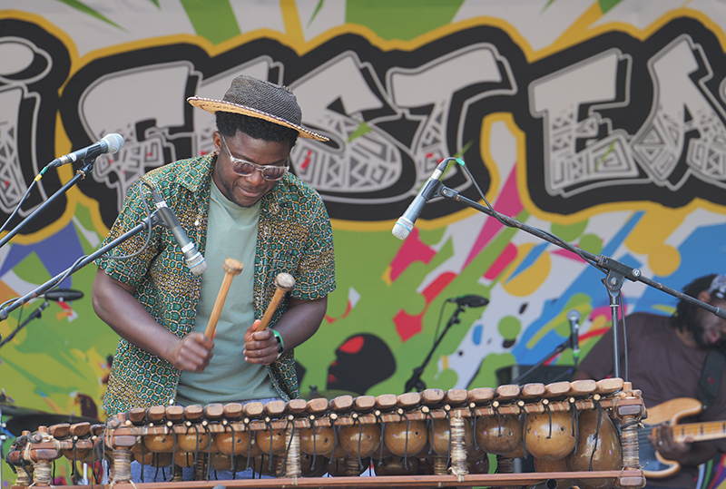 , Diaspora Insurance backs East Anglia’s only Afro-themed festival