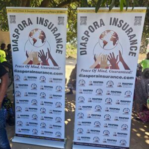 , 2025 Diaspora Giving Back Winners