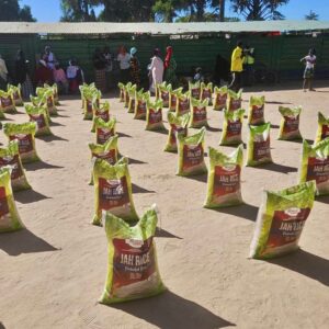 , 2025 Diaspora Giving Back Winners