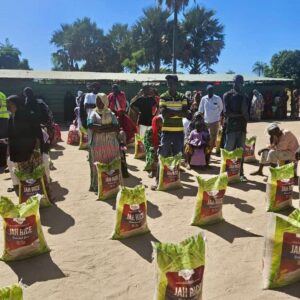 , 2025 Diaspora Giving Back Winners