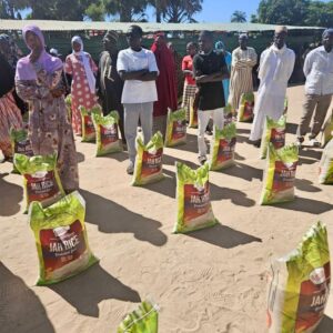 , 2025 Diaspora Giving Back Winners