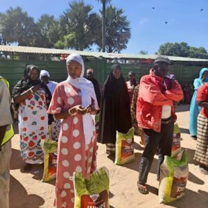 , 2025 Diaspora Giving Back Winners
