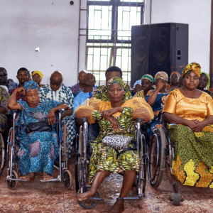 , 2025 Diaspora Giving Back Winners