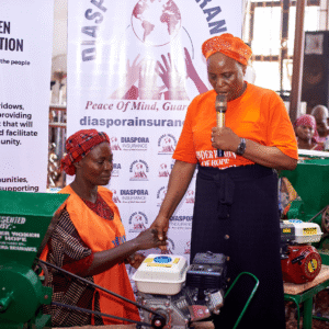 , 2025 Diaspora Giving Back Winners