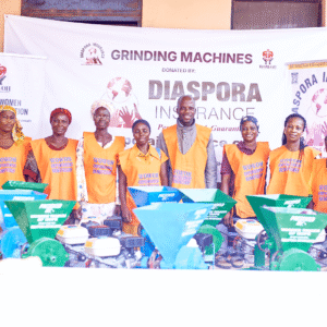 , 2025 Diaspora Giving Back Winners