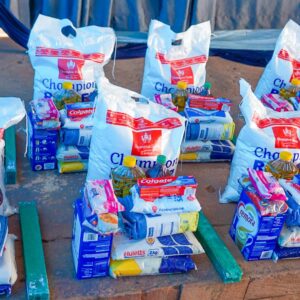 , 2025 Diaspora Giving Back Winners