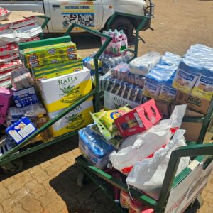 , 2025 Diaspora Giving Back Winners