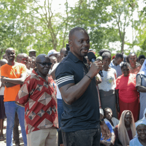 , 2025 Diaspora Giving Back Winners