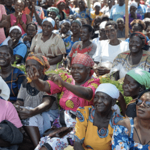 , 2025 Diaspora Giving Back Winners