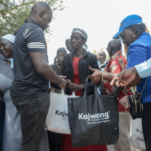 , 2025 Diaspora Giving Back Winners