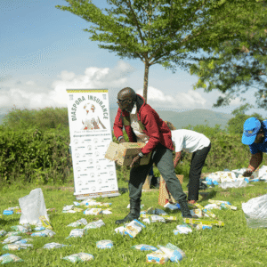 , 2025 Diaspora Giving Back Winners