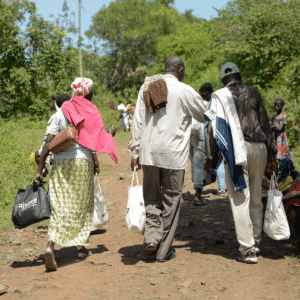 , 2025 Diaspora Giving Back Winners