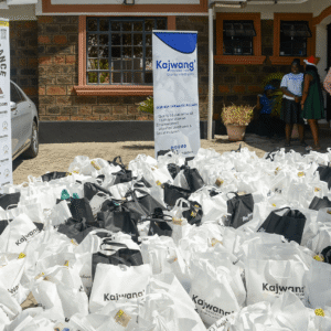 , 2025 Diaspora Giving Back Winners