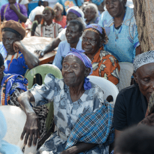 , 2025 Diaspora Giving Back Winners
