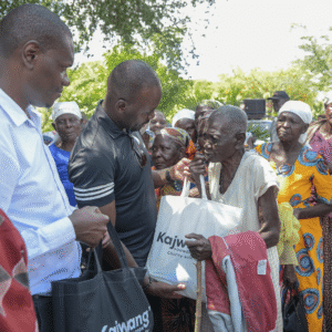 , 2025 Diaspora Giving Back Winners