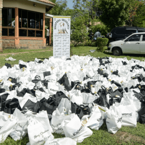 , 2025 Diaspora Giving Back Winners