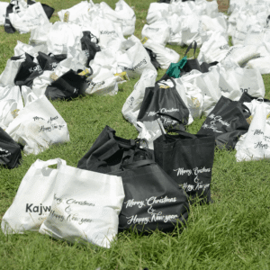 , 2025 Diaspora Giving Back Winners